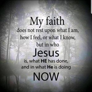 Meet your Posher, Cayce